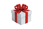 <p>Mystery Gift</p>